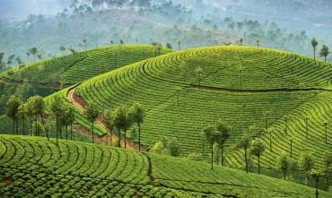 5 things you must know before you Plan a Kerala Tour