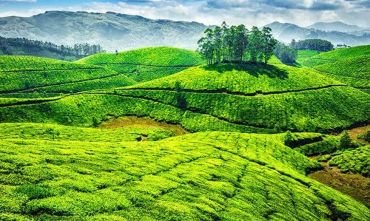 Munnar-Marayoor